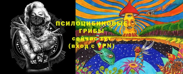 spice Арсеньев