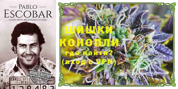 spice Арсеньев