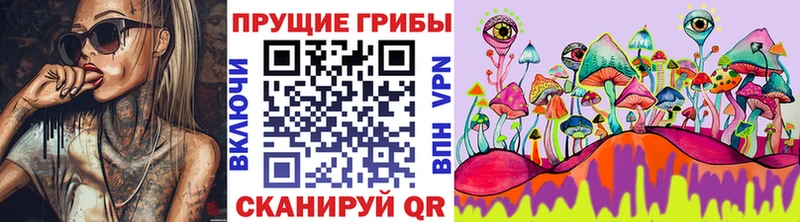 хочу   MEGA ссылка  Псилоцибиновые грибы ЛСД  Кувандык 