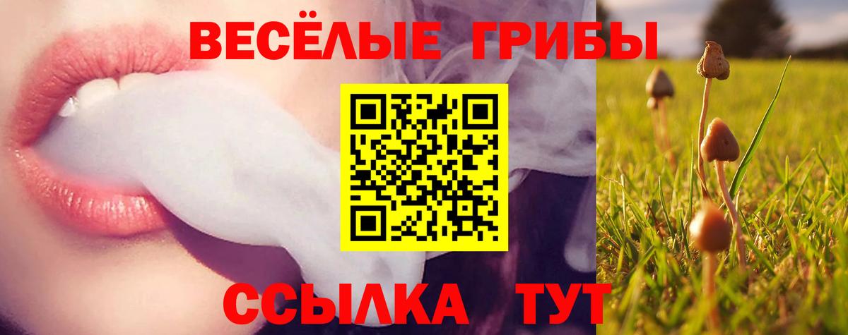 Галлюциногенные грибы Psilocybine cubensis Кувандык